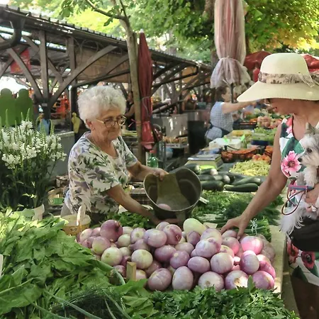 Casa vacanze House Cave Romana Pola